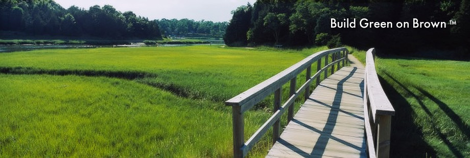 Build Green on Brown